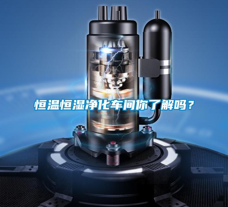 恒溫恒濕凈化車間你了解嗎？