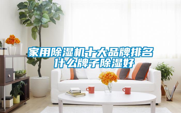 家用除濕機十大品牌排名 什么牌子除濕好