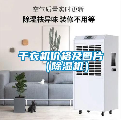 干衣機(jī)價格及圖片（除濕機(jī)）