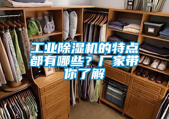 工業(yè)除濕機(jī)的特點(diǎn)都有哪些？廠(chǎng)家?guī)懔私?/></p>
						    <p style=
