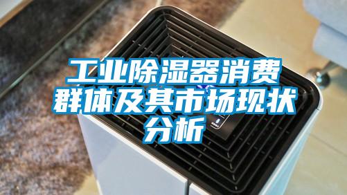 工業除濕器消費群體及其市場現狀分析