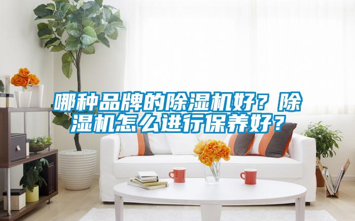 哪種品牌的除濕機(jī)好？除濕機(jī)怎么進(jìn)行保養(yǎng)好？