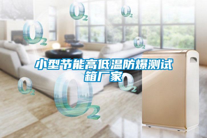 小型節(jié)能高低溫防爆測(cè)試箱廠家