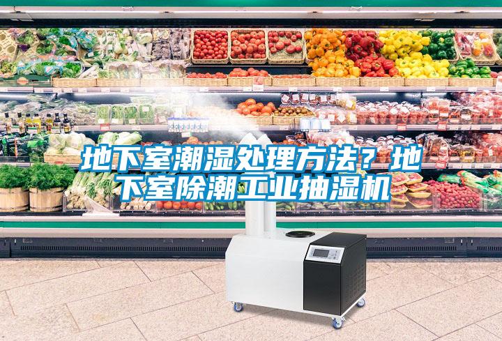地下室潮濕處理方法?地下室除潮工業抽濕機