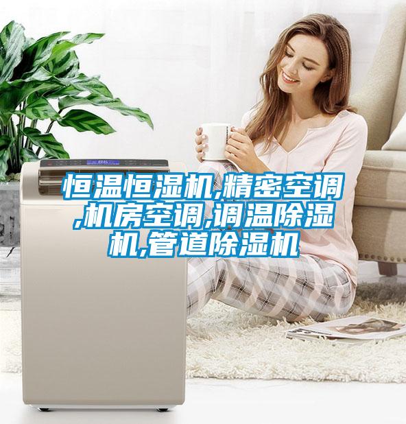 恒溫恒濕機,精密空調,機房空調,調溫除濕機,管道除濕機