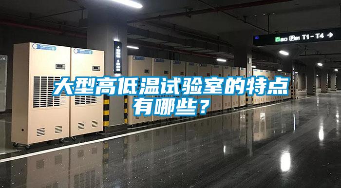 大型高低溫試驗室的特點(diǎn)有哪些？