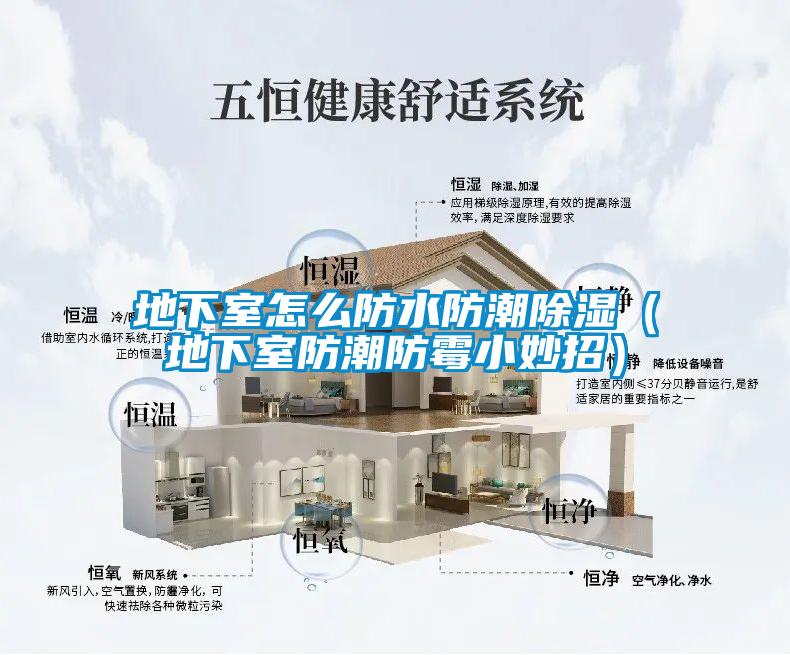 地下室怎么防水防潮除濕(地下室防潮防霉小妙招)