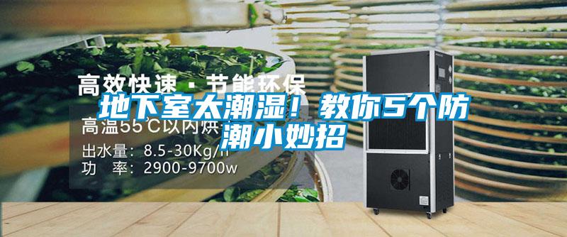 地下室太潮濕！教你5個(gè)防潮小妙招