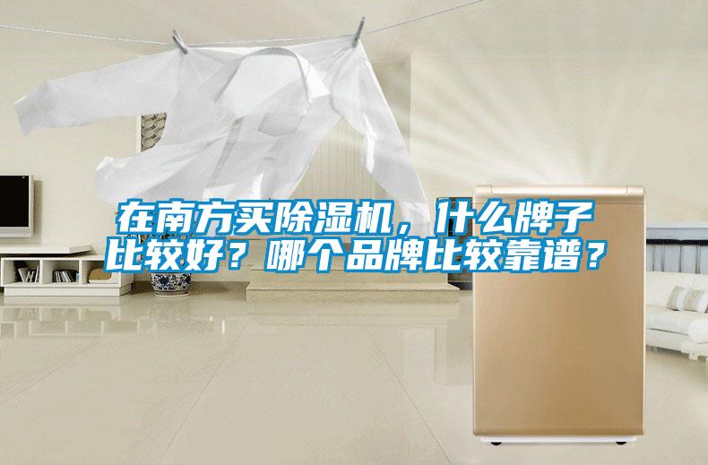 在南方買除濕機,什么牌子比較好?哪個品牌比較靠譜?