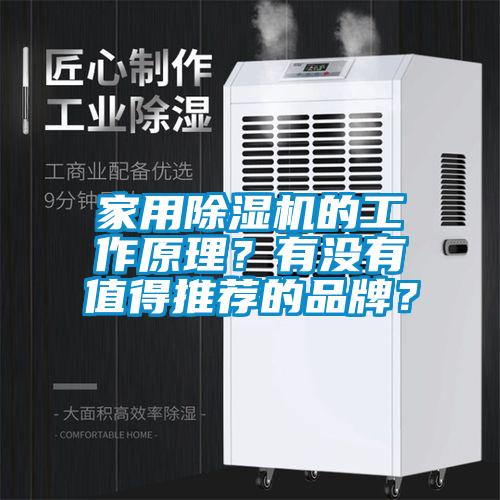 家用除濕機的工作原理？有沒有值得推薦的品牌？