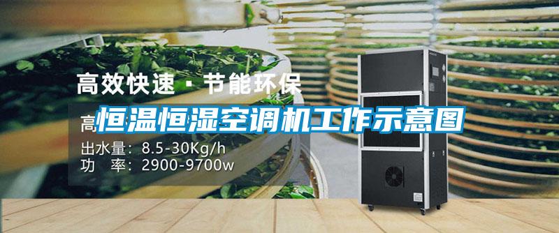 恒溫恒濕空調(diào)機(jī)工作示意圖