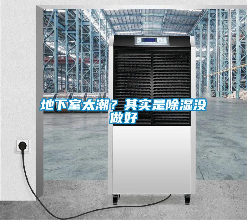 地下室太潮？其實是除濕沒做好