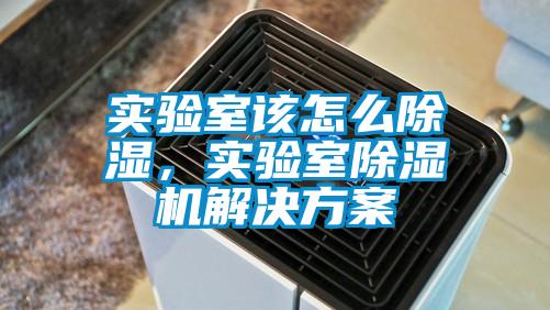 實(shí)驗(yàn)室該怎么除濕，實(shí)驗(yàn)室除濕機(jī)解決方案