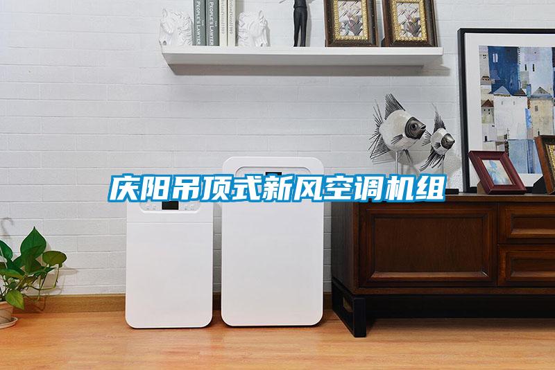 慶陽吊頂式新風(fēng)空調(diào)機(jī)組