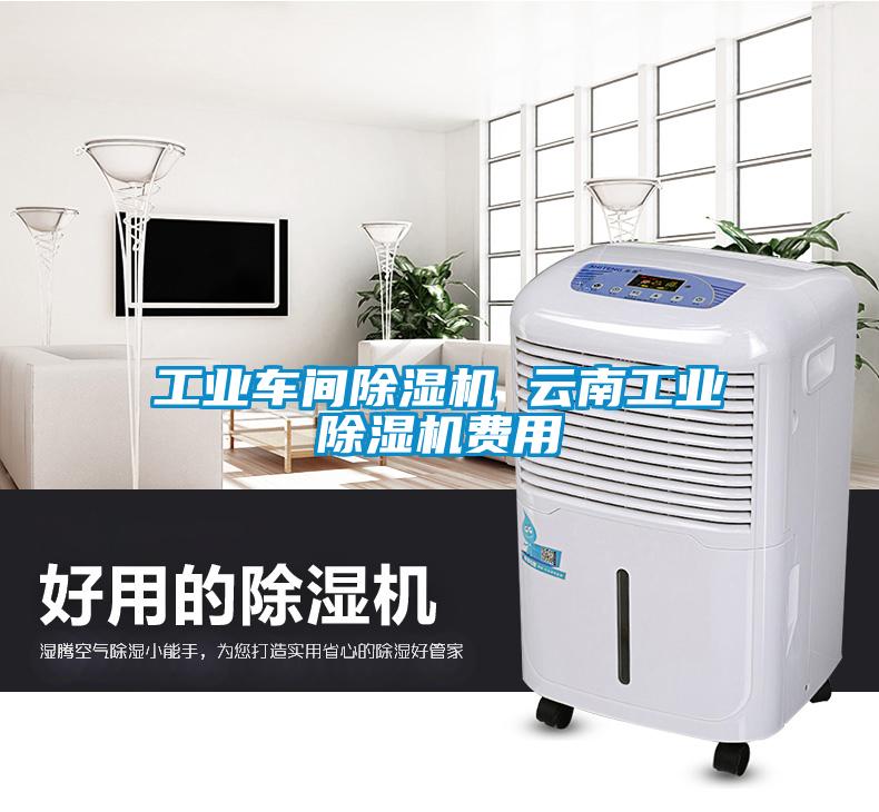 工業車間除濕機 云南工業除濕機費用