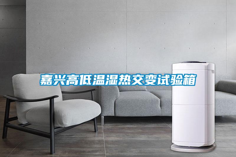 嘉興高低溫濕熱交變試驗箱