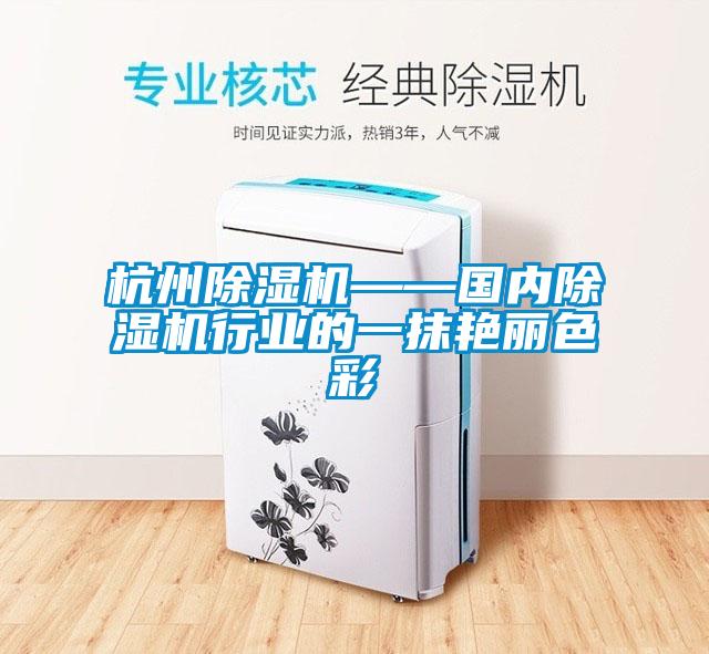 杭州除濕機——國內除濕機行業的一抹艷麗色彩