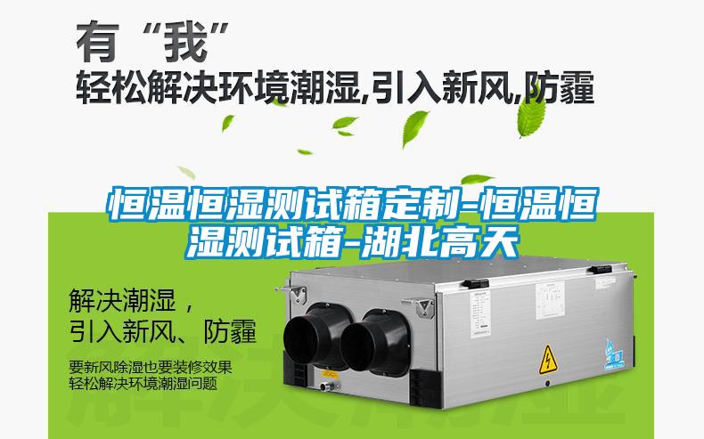 恒溫恒濕測(cè)試箱定制-恒溫恒濕測(cè)試箱-湖北高天