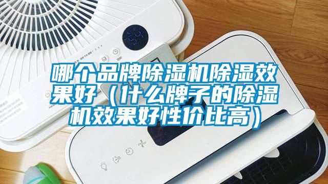 哪個(gè)品牌除濕機(jī)除濕效果好（什么牌子的除濕機(jī)效果好性價(jià)比高）
