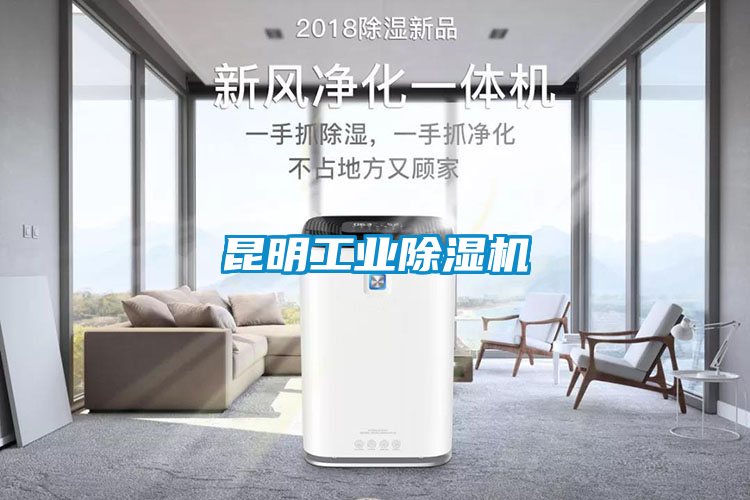 昆明工業除濕機