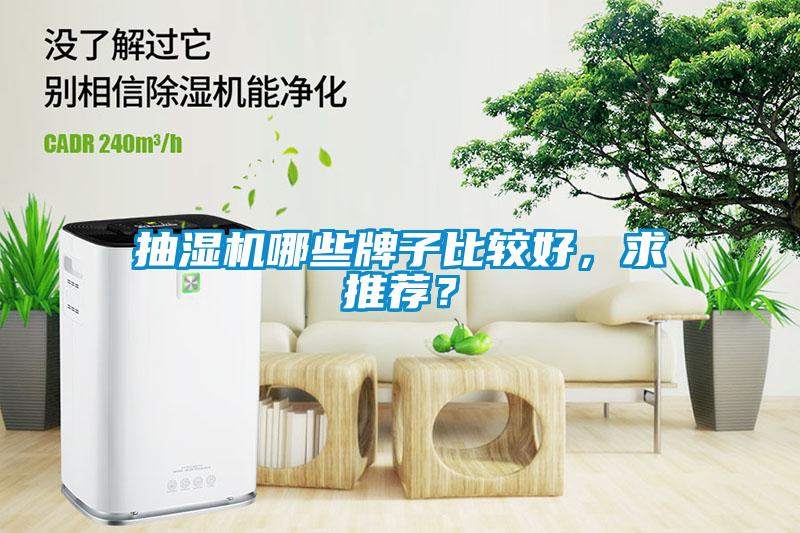 抽濕機哪些牌子比較好，求推薦？