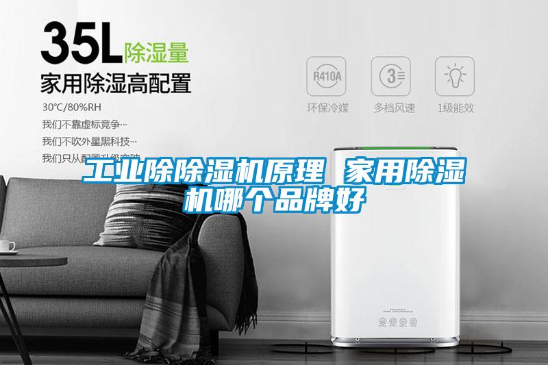工業(yè)除除濕機原理 家用除濕機哪個品牌好