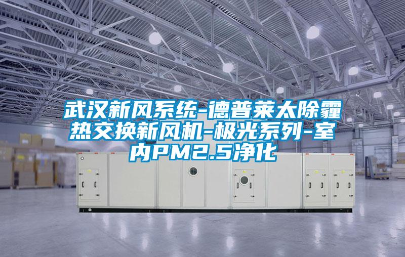 武漢新風(fēng)系統(tǒng)-德普萊太除霾熱交換新風(fēng)機(jī)-極光系列-室內(nèi)PM2.5凈化