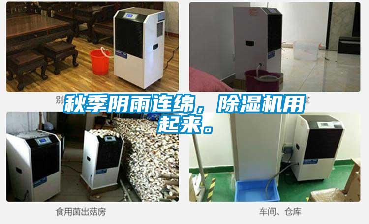 秋季陰雨連綿，除濕機(jī)用起來(lái)。