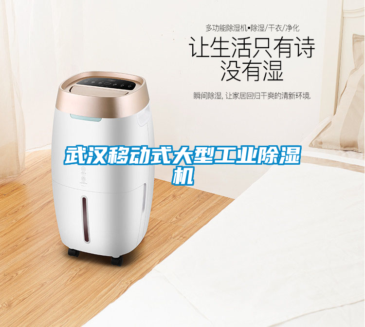 武漢移動式大型工業除濕機