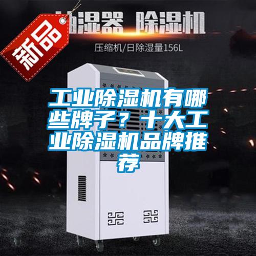 工業除濕機有哪些牌子？十大工業除濕機品牌推薦