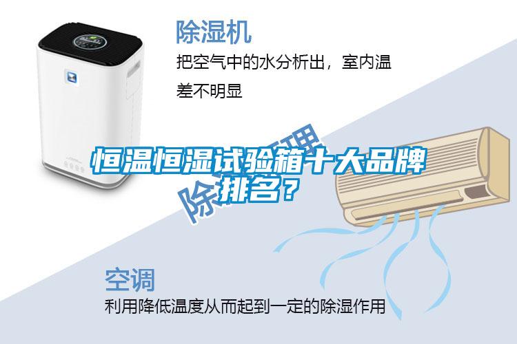 恒溫恒濕試驗(yàn)箱十大品牌排名？