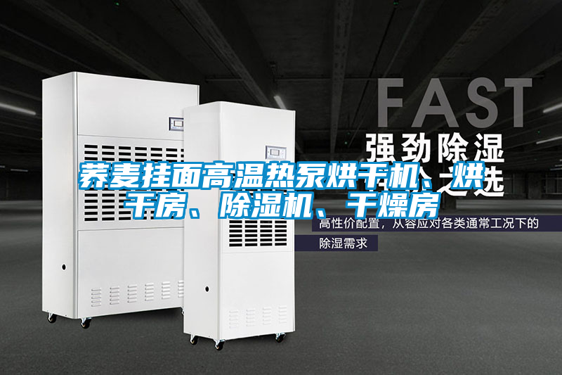 蕎麥掛面高溫熱泵烘干機、烘干房、除濕機、干燥房