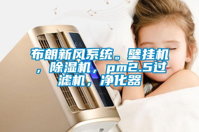 布朗新風(fēng)系統(tǒng)。壁掛機(jī)，除濕機(jī)，pm2.5過(guò)濾機(jī)，凈化器