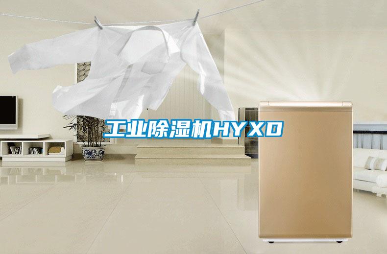 工業除濕機HYXD