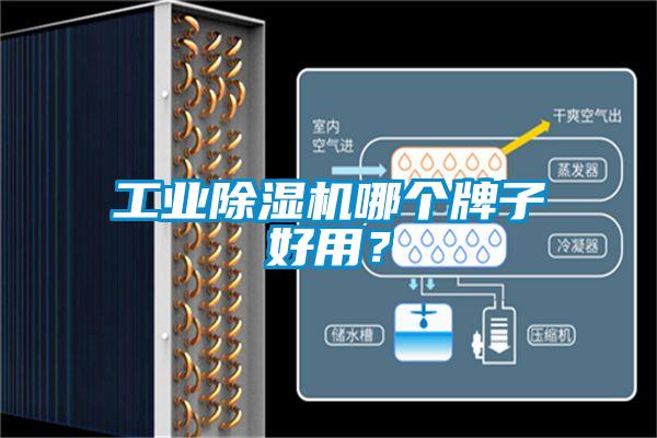 工業除濕機哪個牌子好用？