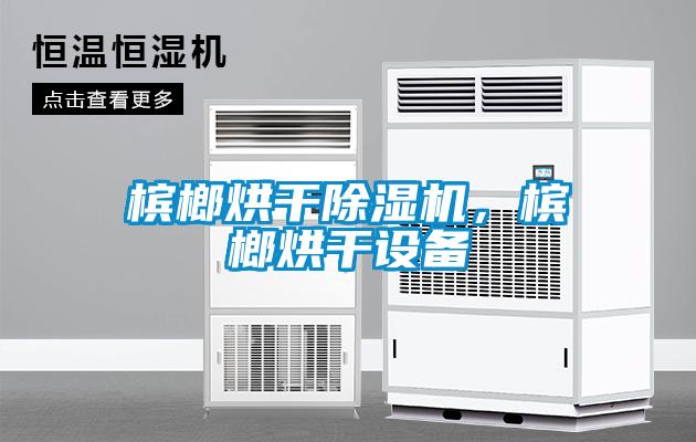 檳榔烘干除濕機，檳榔烘干設備