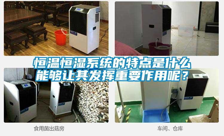 恒溫恒濕系統(tǒng)的特點(diǎn)是什么能夠讓其發(fā)揮重要作用呢？