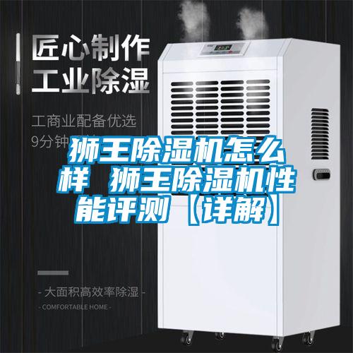 獅王除濕機(jī)怎么樣 獅王除濕機(jī)性能評測【詳解】