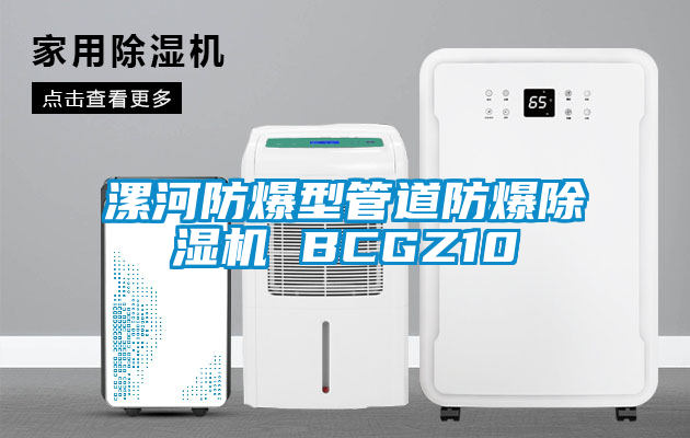 漯河防爆型管道防爆除濕機 BCGZ10