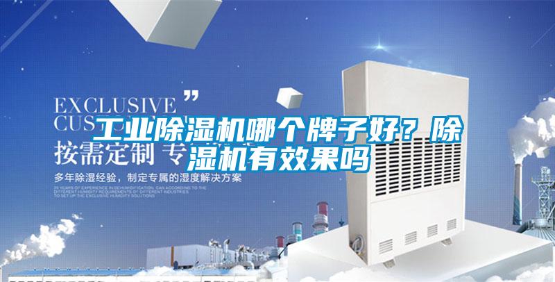 工業除濕機哪個牌子好？除濕機有效果嗎
