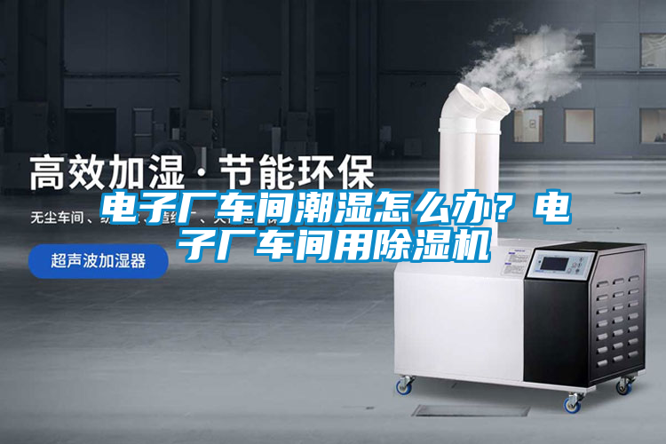 電子廠車間潮濕怎么辦？電子廠車間用除濕機