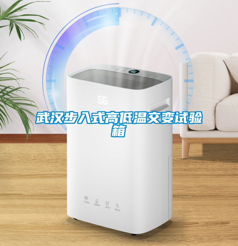 武漢步入式高低溫交變試驗箱
