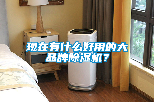 現(xiàn)在有什么好用的大品牌除濕機?