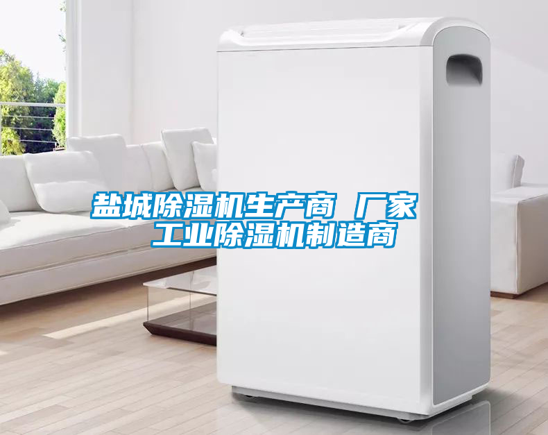 鹽城除濕機(jī)生產(chǎn)商 廠家  工業(yè)除濕機(jī)制造商