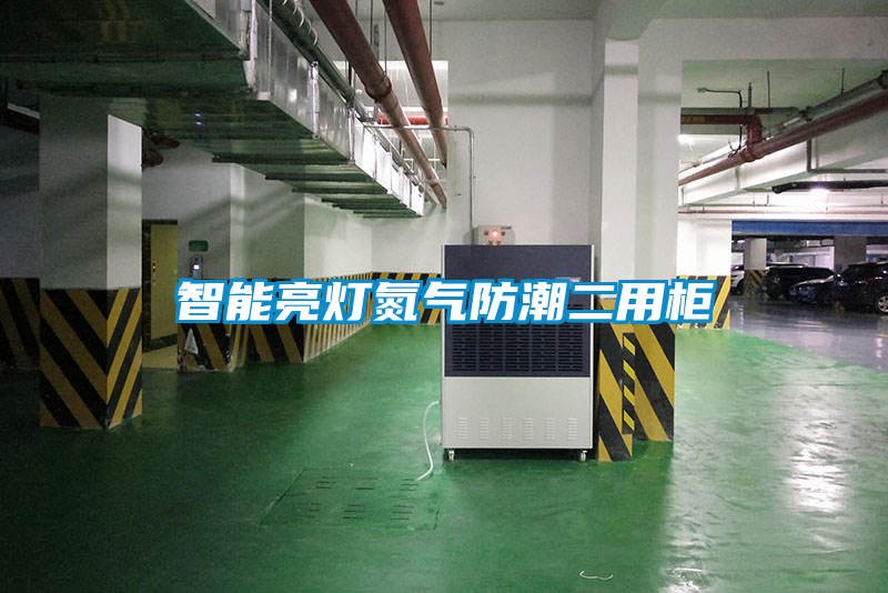 智能亮燈氮?dú)夥莱倍霉?/></p>
						    <p style=