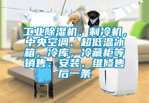 工業除濕機，制冷機，中央空調、超低溫冰箱，冷庫，冷藏柜等銷售、安裝、維修售后一條