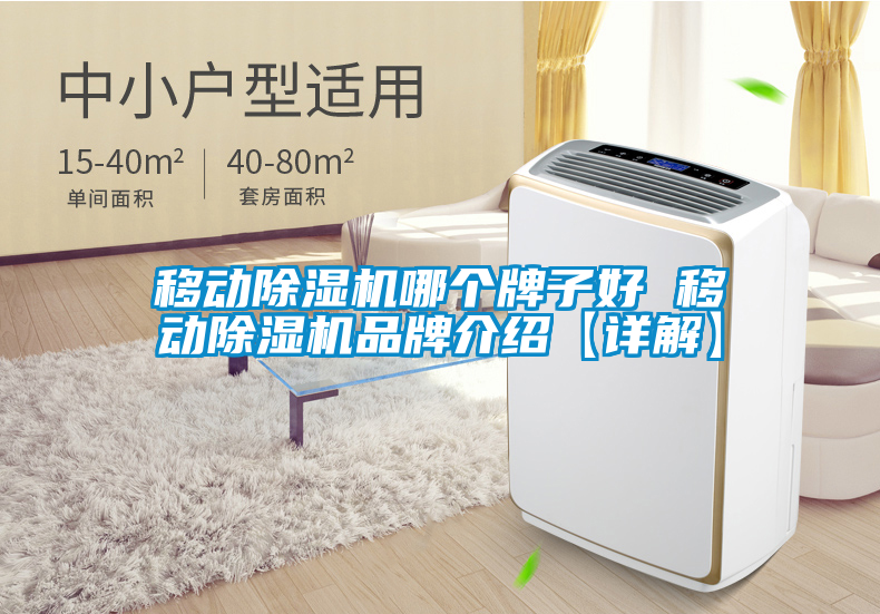 移動(dòng)除濕機(jī)哪個(gè)牌子好 移動(dòng)除濕機(jī)品牌介紹【詳解】