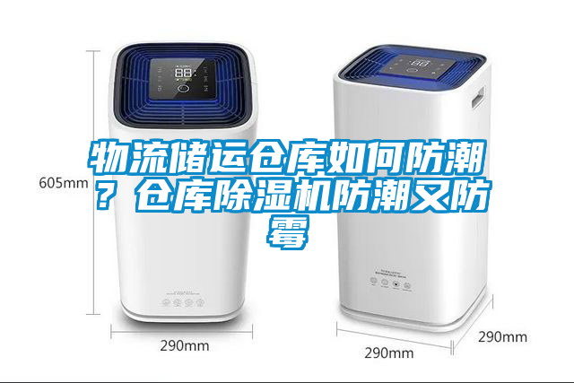 物流儲(chǔ)運(yùn)倉(cāng)庫(kù)如何防潮？倉(cāng)庫(kù)除濕機(jī)防潮又防霉