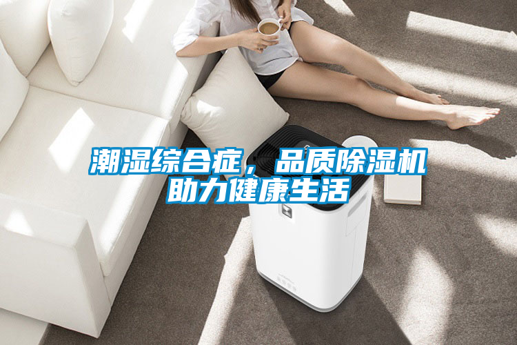 潮濕綜合癥,品質除濕機助力健康生活
