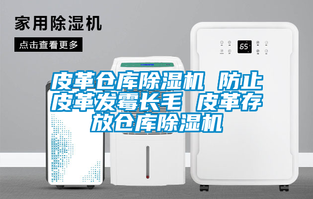 皮革倉庫除濕機 防止皮革發霉長毛 皮革存放倉庫除濕機